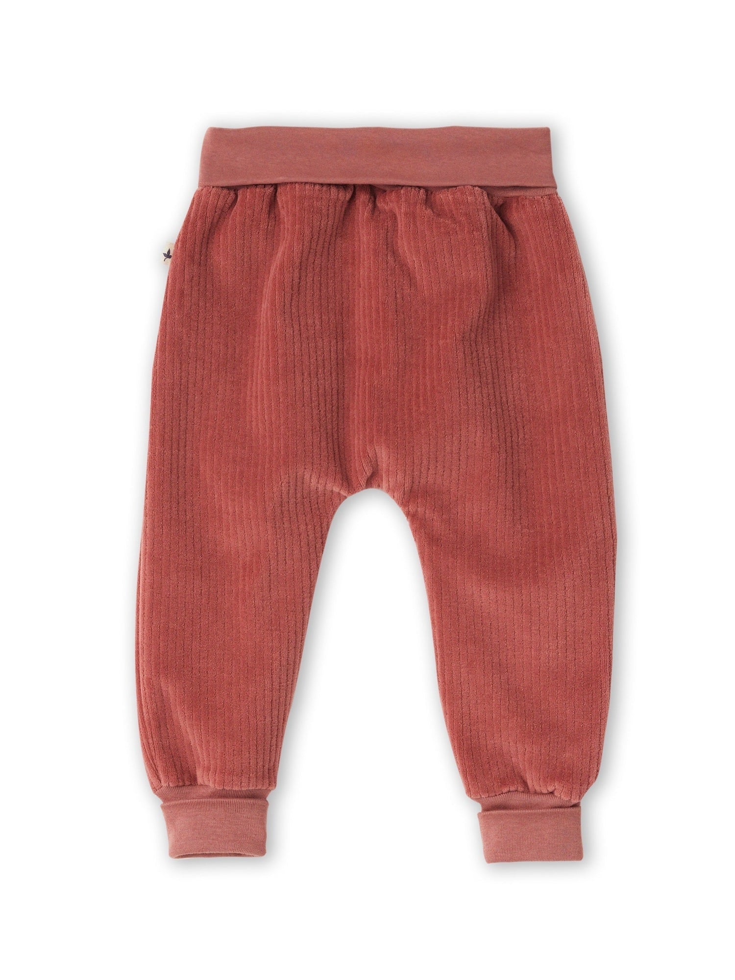 Baby Bio-Baumwoll Cordhose - Evermind.eco
