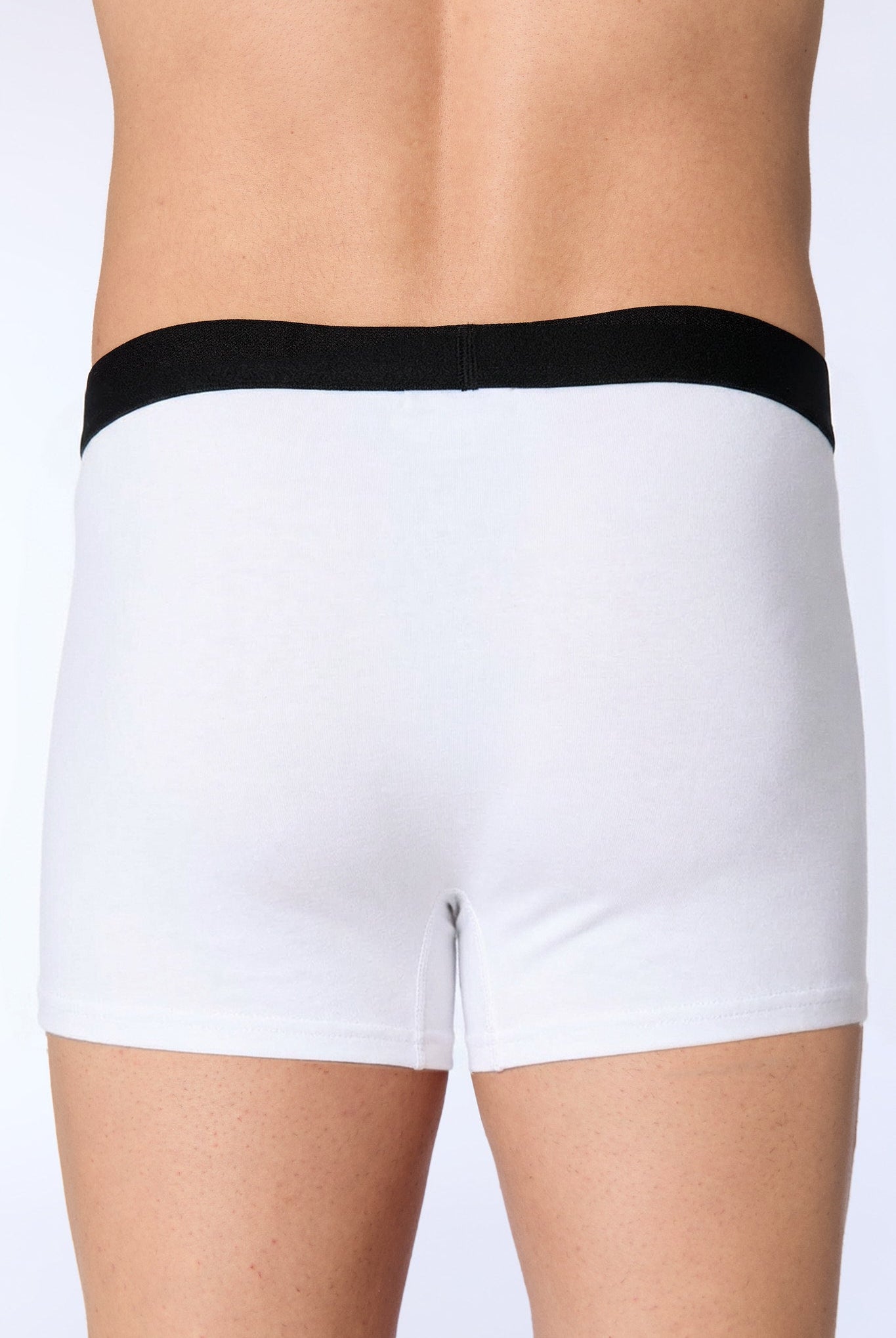 Bio-Baumwoll-Herren Trunkshorts - Evermind.eco
