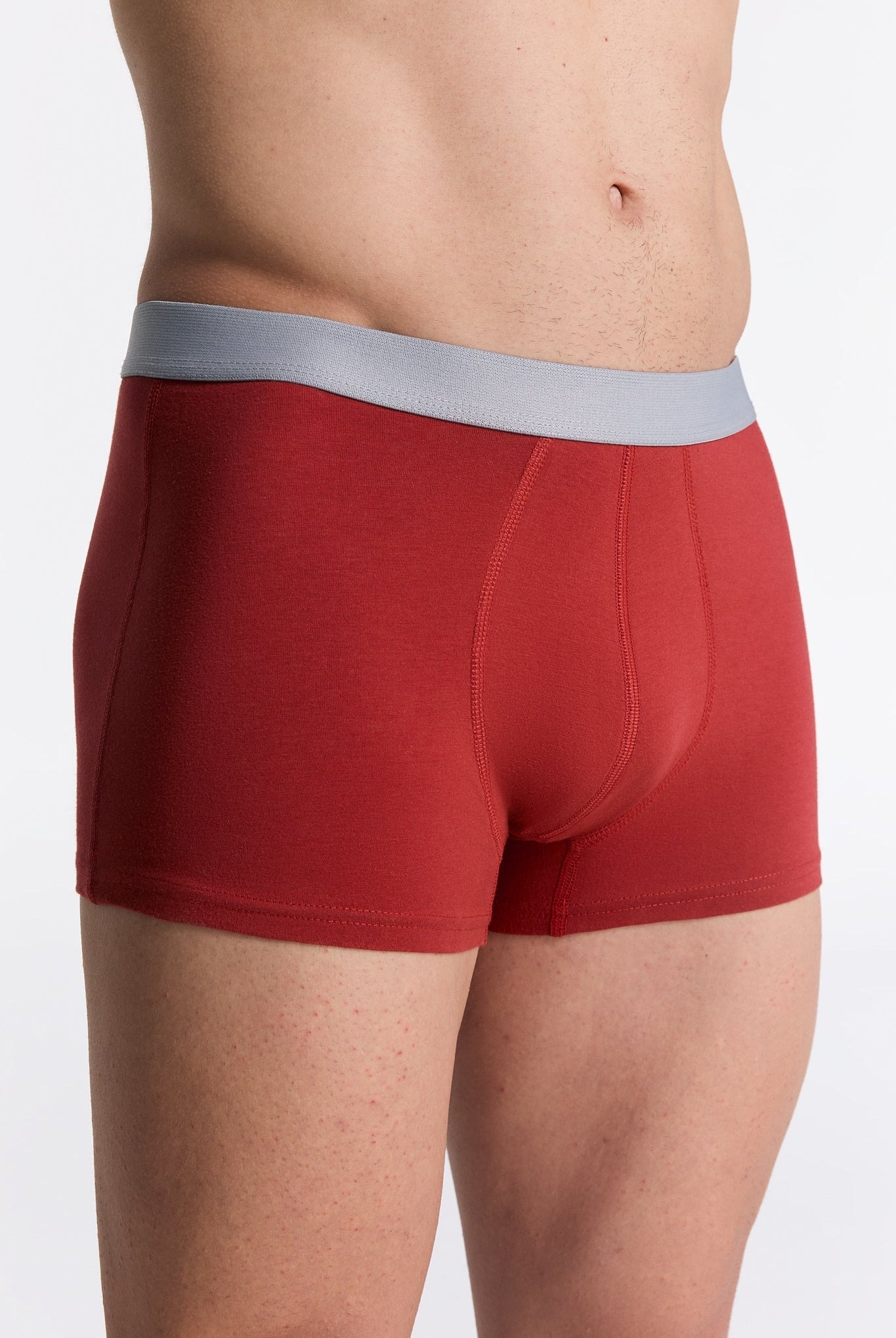 Bio-Baumwoll-Herren Trunkshorts - Evermind.eco