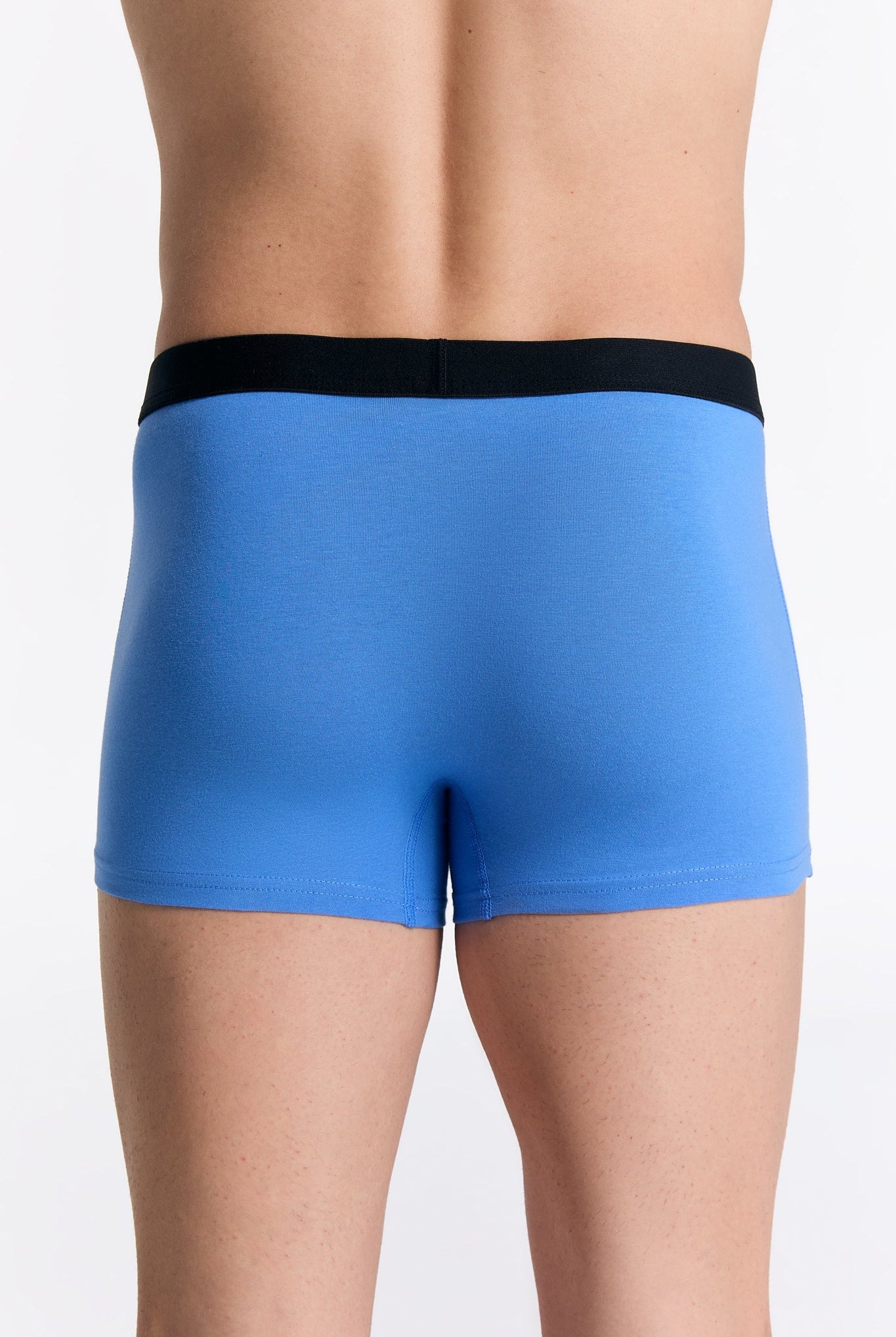 Bio-Baumwoll-Herren Trunkshorts - Evermind.eco