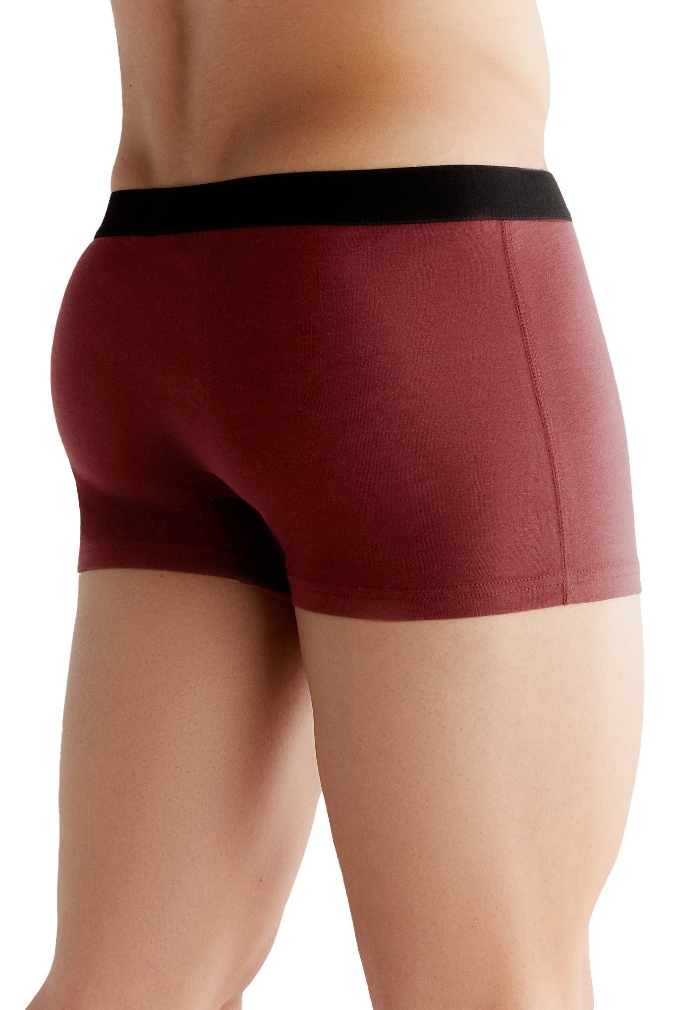 Bio-Baumwoll-Herren Trunkshorts - Evermind.eco