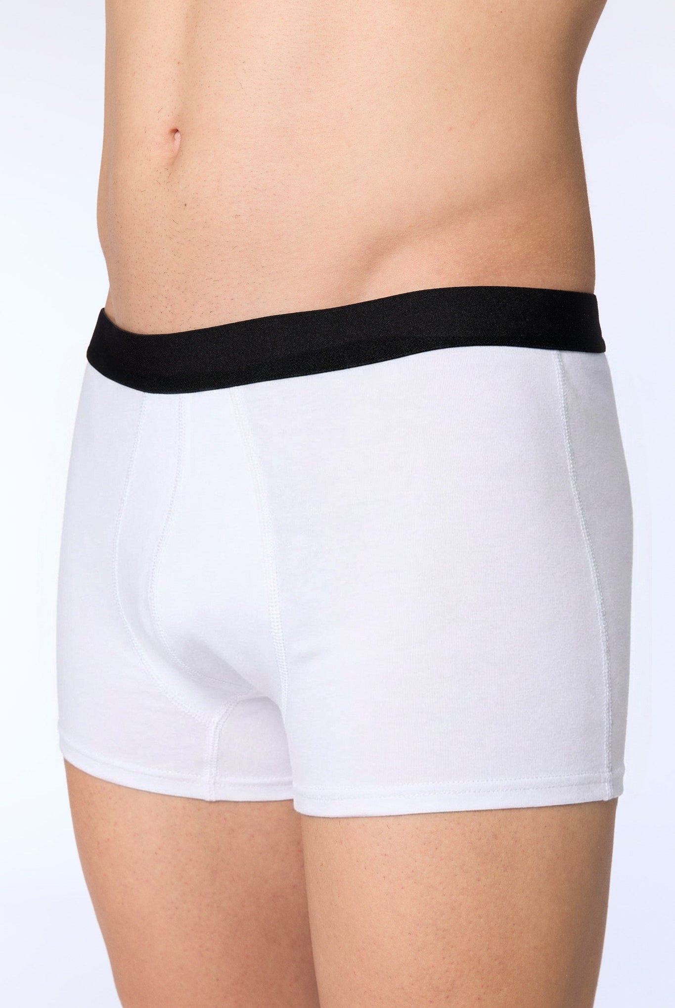 Bio-Baumwoll-Herren Trunkshorts - Evermind.eco