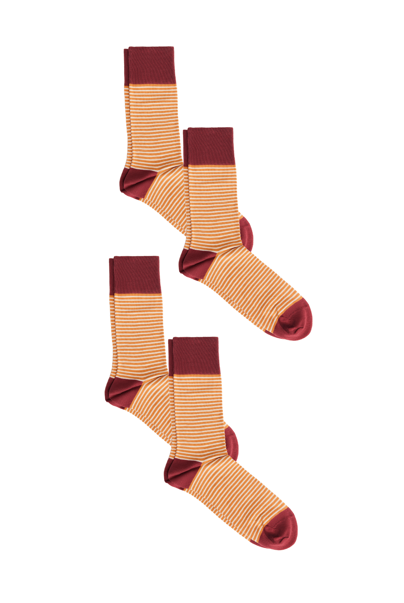 Bio-Baumwoll-Socken mit längerem Bündchen - 4er Pack - Evermind.eco
