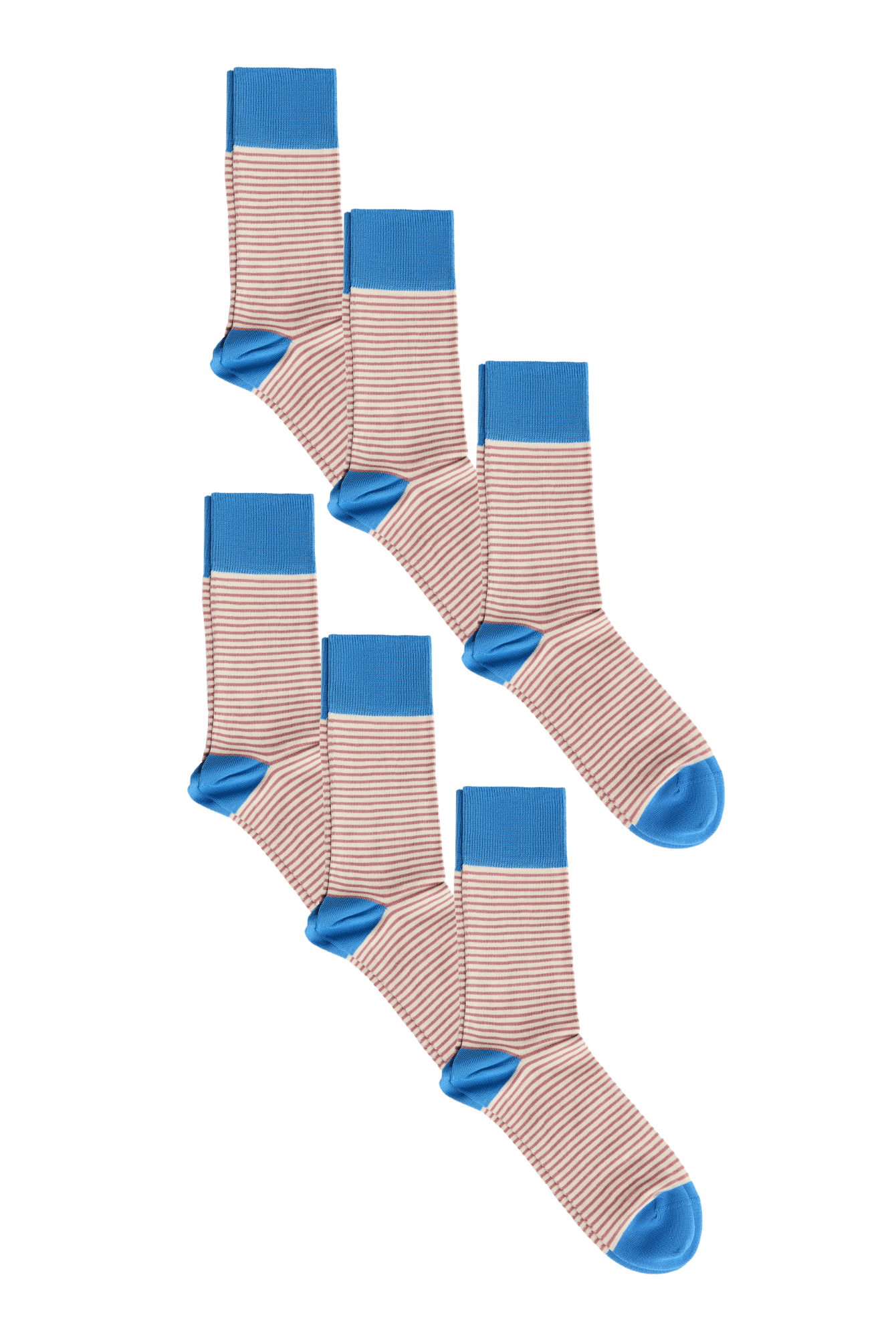 Bio-Baumwoll-Socken mit längerem Bündchen - 6er Pack - Evermind.eco