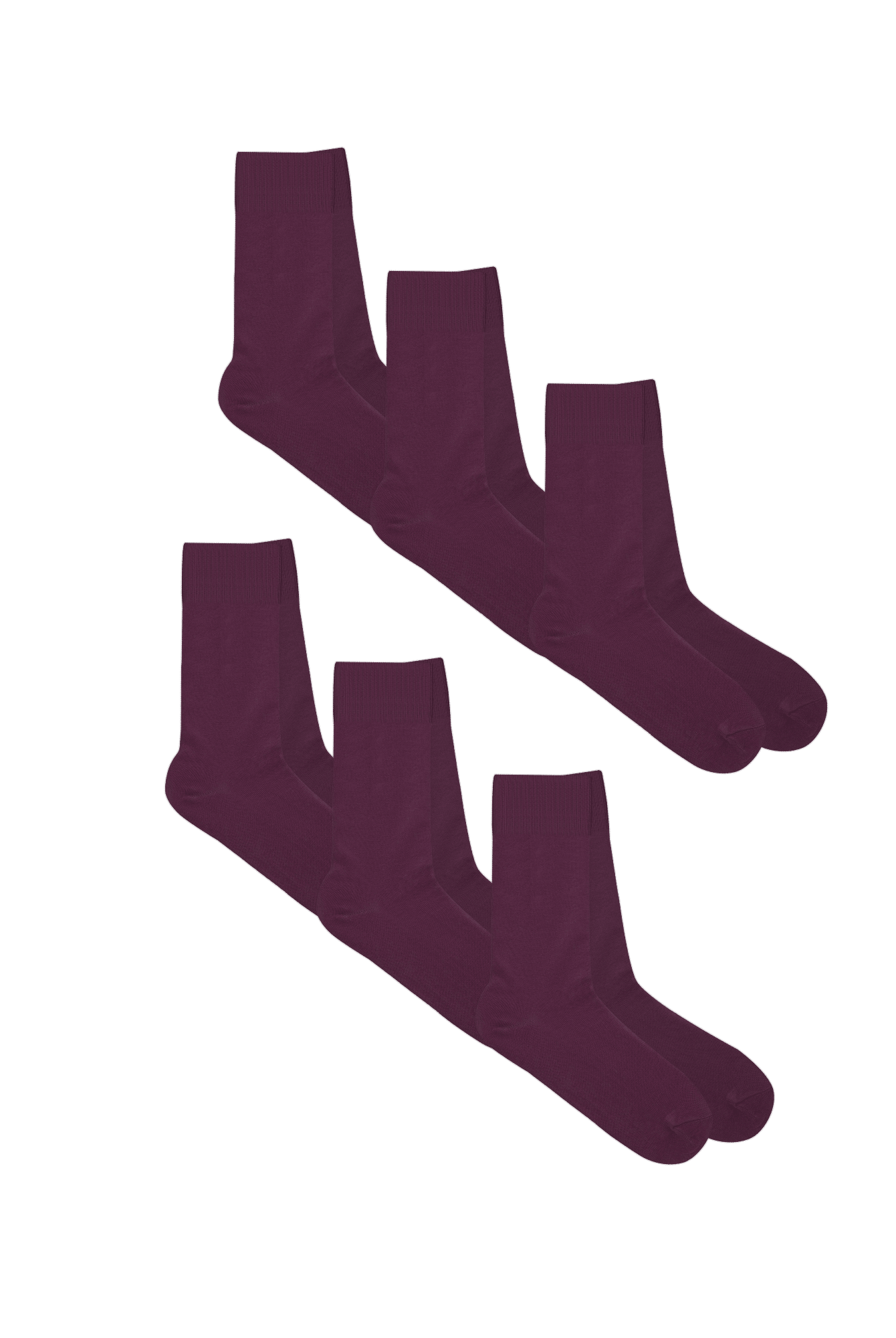 Bio-Baumwoll-Socken mit längerem Bündchen - 6er Pack - Evermind.eco