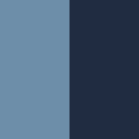 Swatch Spaceultramarin