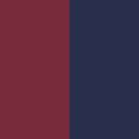 Swatch Tibetrot/Navy Gestreift