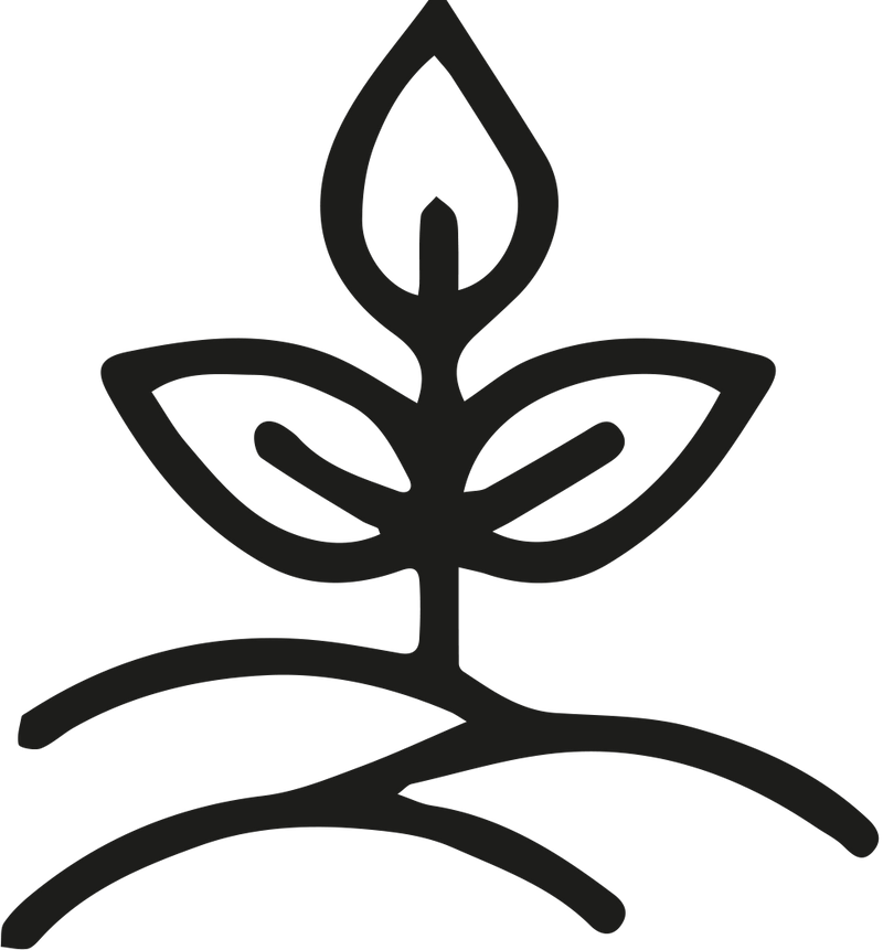 {"type":"root","children":[{"type":"heading","level":3,"children":[{"type":"text","value":"Organically Grown Raw Materials"}]},{"type":"heading","level":3,"children":[{"type":"text","value":"Sustainability starts at the source of our materials.","bold":true}]},{"type":"paragraph","children":[{"type":"text","value":"That’s why we choose "},{"type":"text","value":"organically grown raw materials","bold":true},{"type":"text","value":" like "},{"type":"text","value":"organic cotton","bold":true},{"type":"text","value":" and "},{"type":"text","value":"TENCEL™,","bold":true},{"type":"text","value":" which are cultivated without harmful pesticides or chemical fertilizers.\n\nIn doing so, we protect not only the "},{"type":"text","value":"environment","bold":true},{"type":"text","value":" but also the "},{"type":"text","value":"people involved in the production process.","bold":true}]}]}