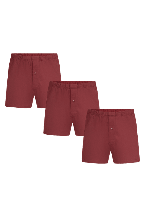 Bio-Baumwoll-Boxershorts mit Holzknopf - 3er Pack - Evermind.eco