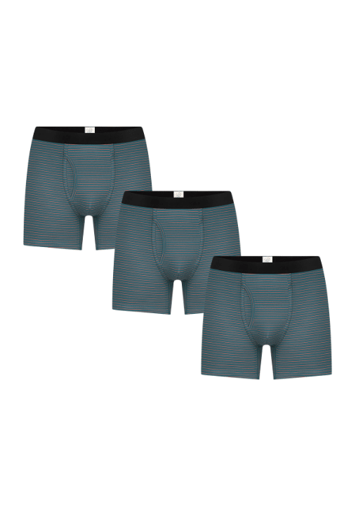 Bio-Baumwoll-Herren Boxershorts mit Eingriff - 3er Pack - Evermind.eco