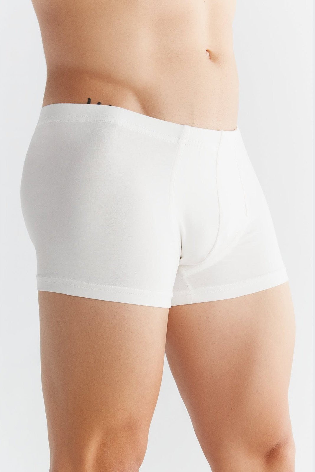 Bio-Baumwoll-Herren Retroshorts - Evermind.eco