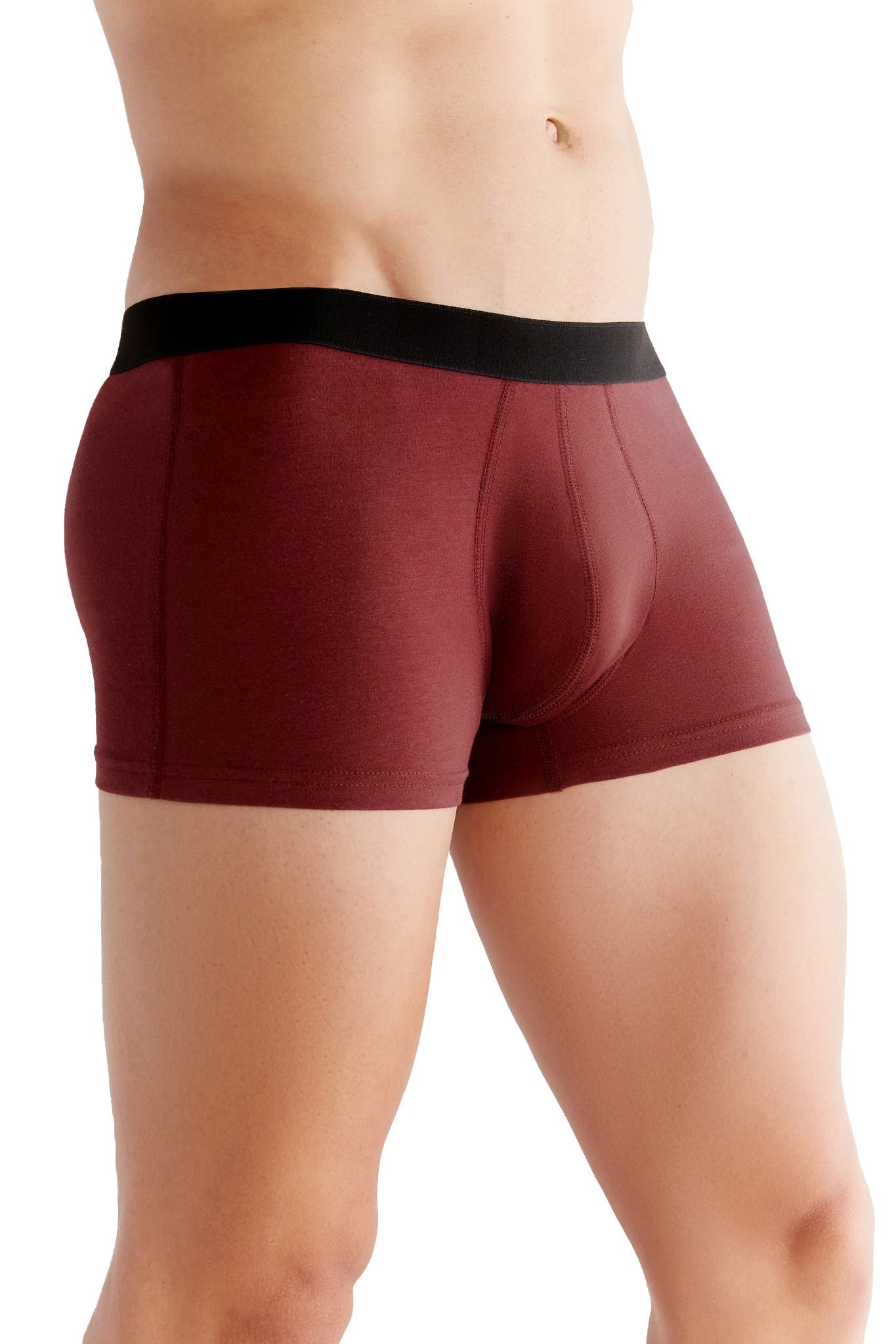Bio-Baumwoll-Herren Trunkshorts - Evermind.eco