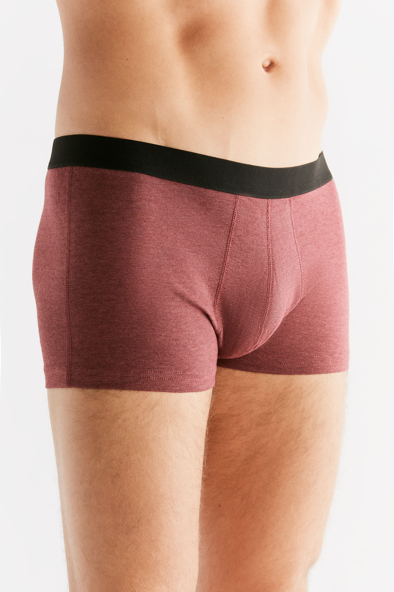 Bio-Baumwoll-Herren Trunkshorts - Evermind.eco