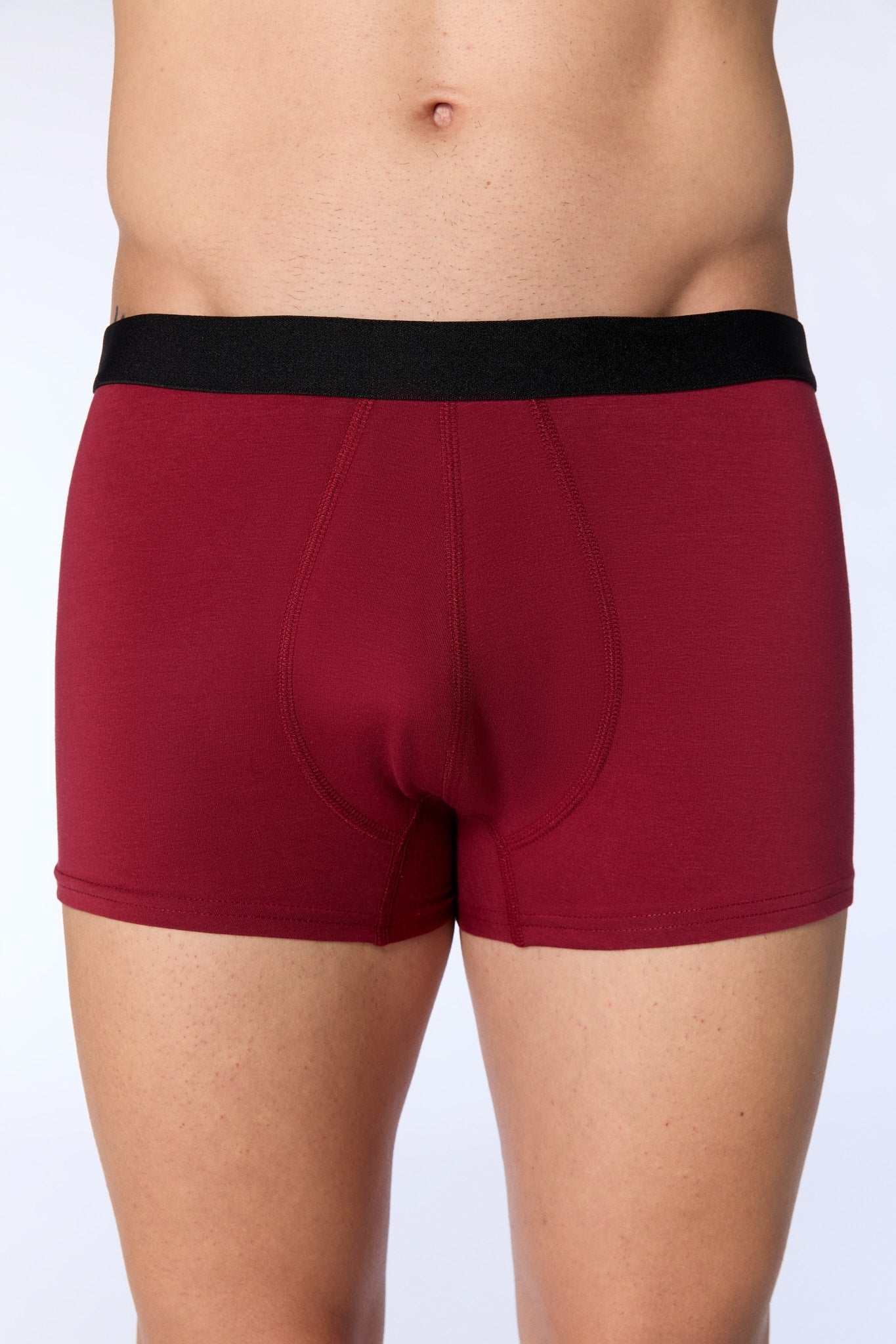 Bio-Baumwoll-Herren Trunkshorts - Evermind.eco