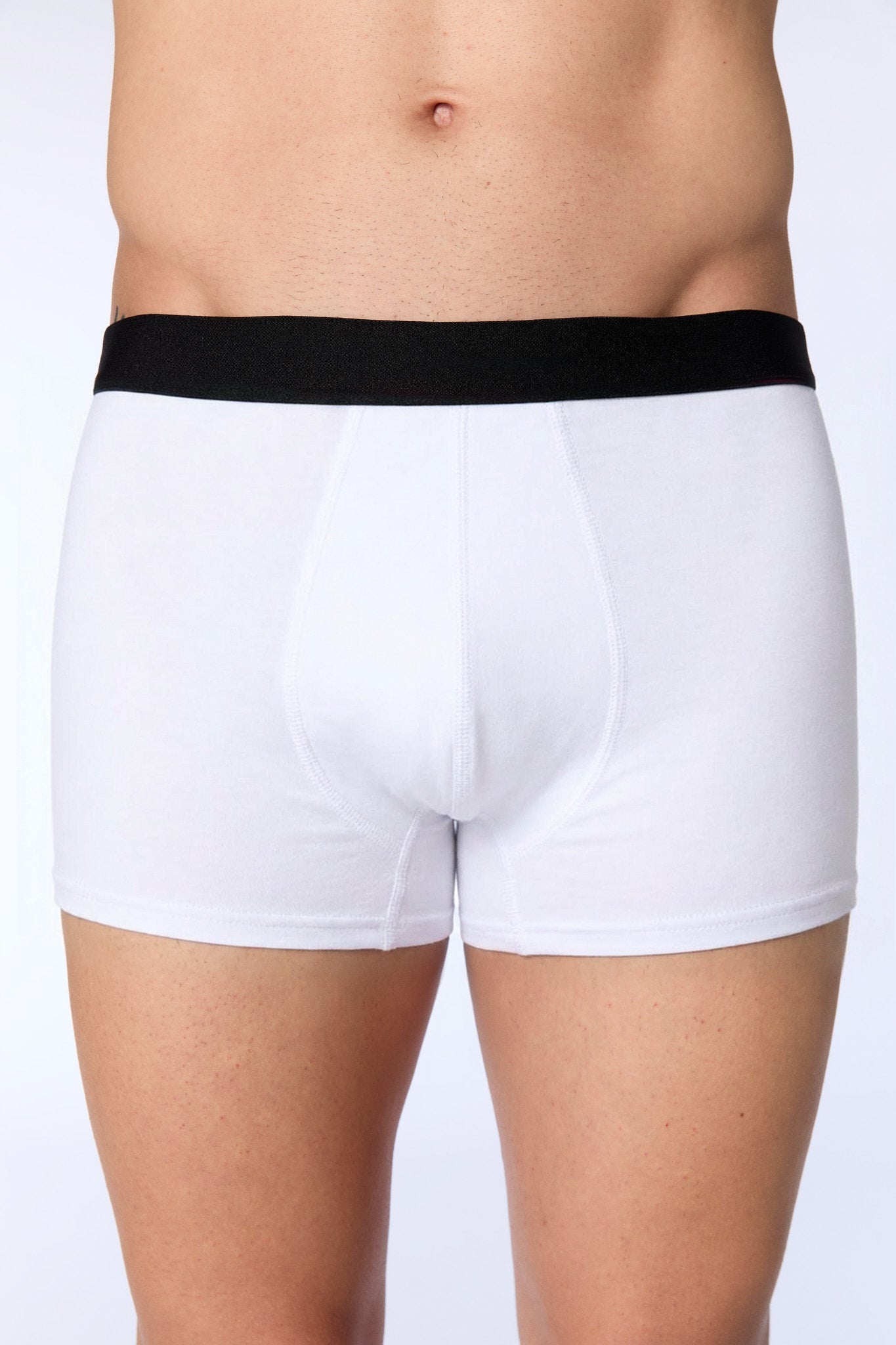 Bio-Baumwoll-Herren Trunkshorts - Evermind.eco