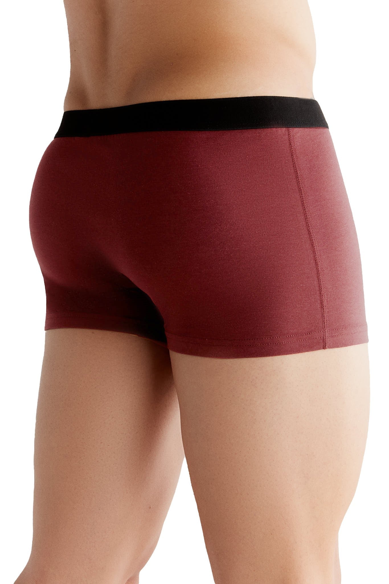 Bio-Baumwoll-Herren Trunkshorts - Evermind.eco