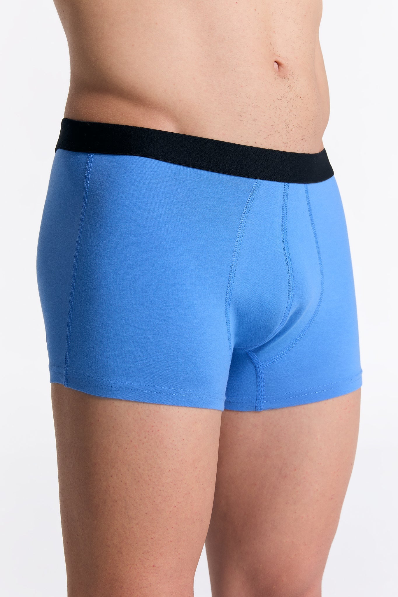 Bio-Baumwoll-Herren Trunkshorts - Evermind.eco
