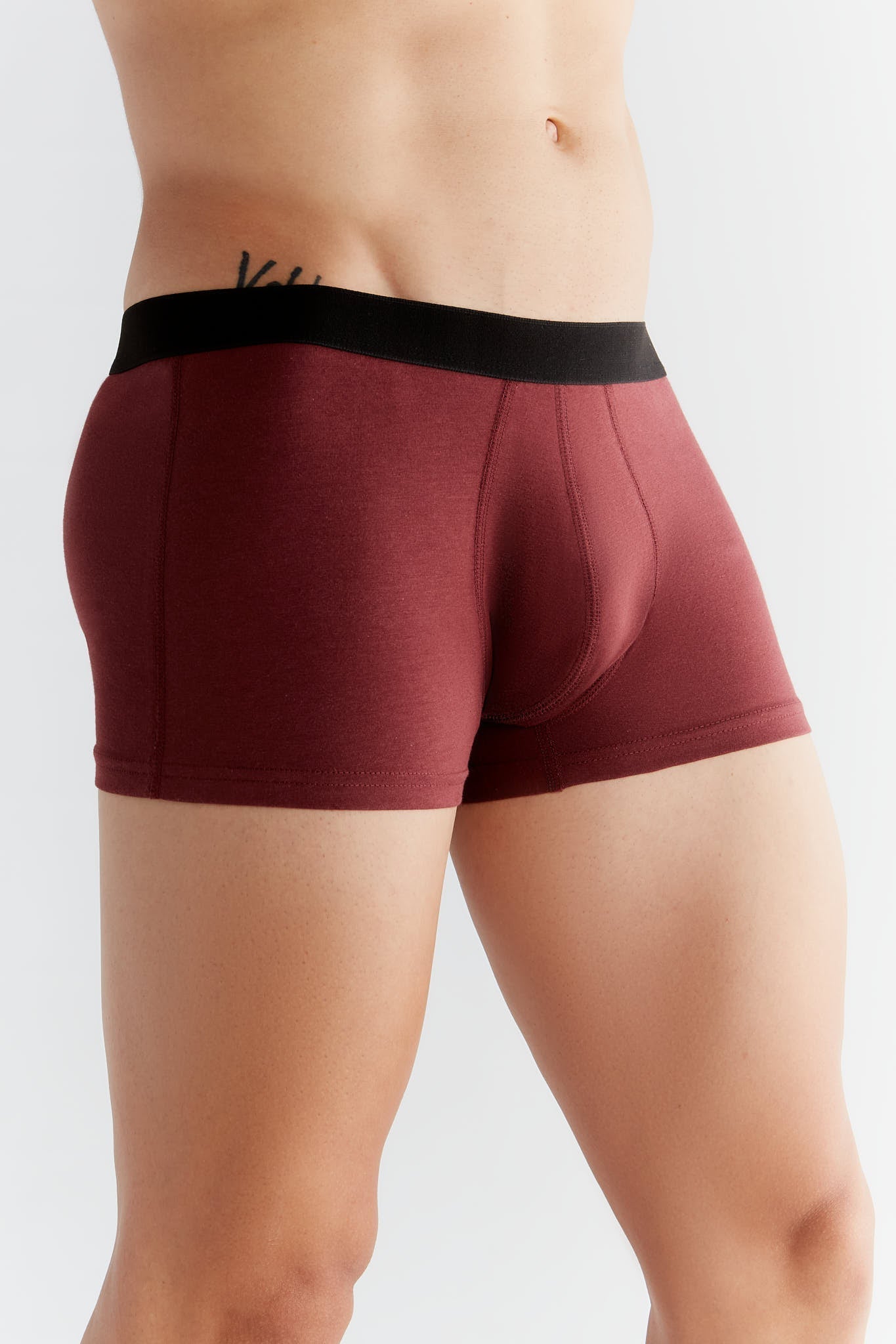 Bio-Baumwoll-Herren Trunkshorts - Evermind.eco