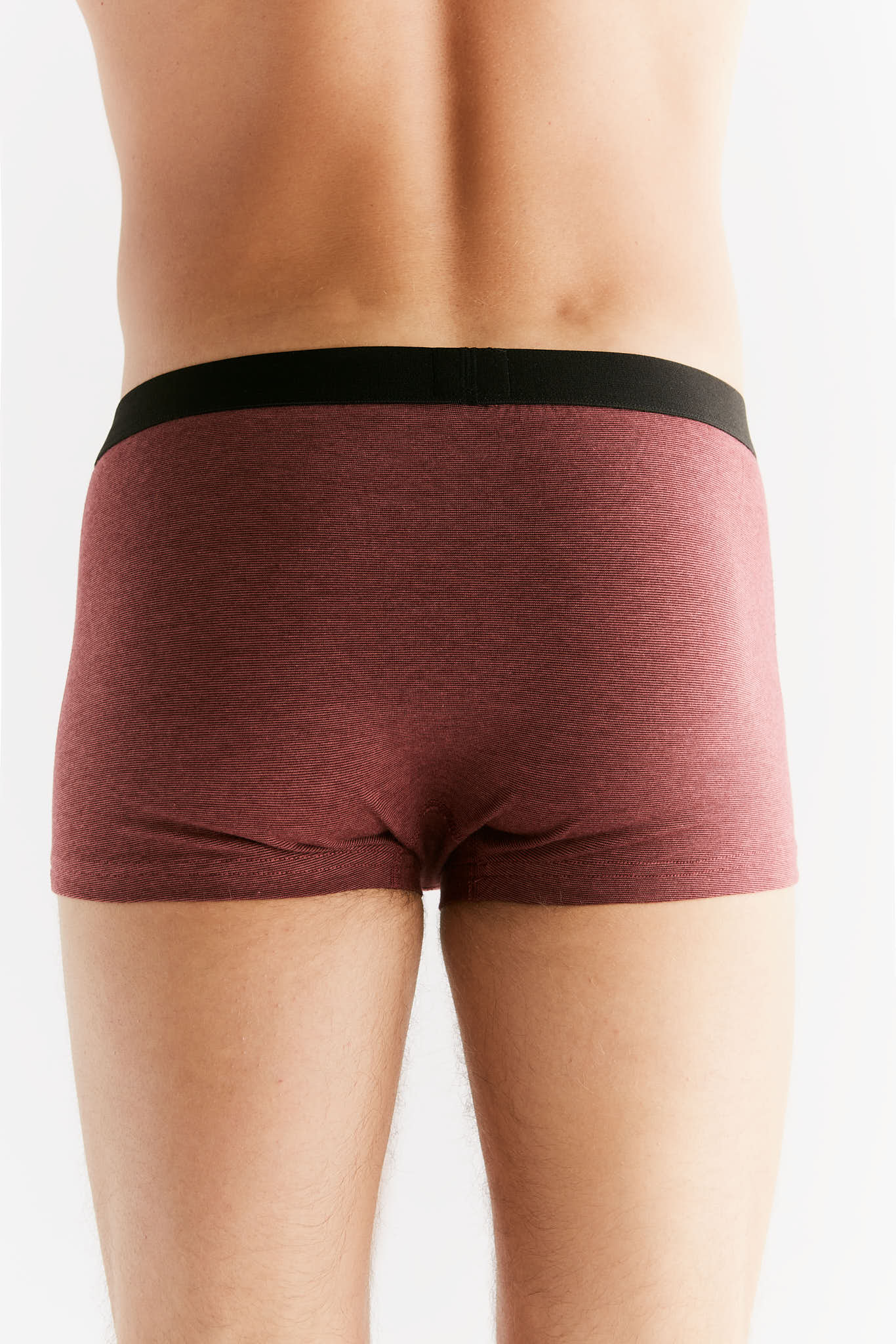 Bio-Baumwoll-Herren Trunkshorts - Evermind.eco
