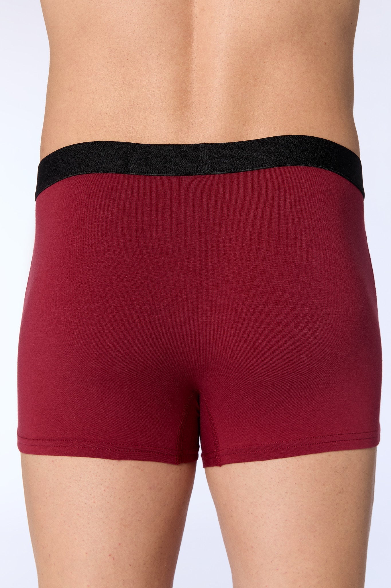 Bio-Baumwoll-Herren Trunkshorts - Evermind.eco