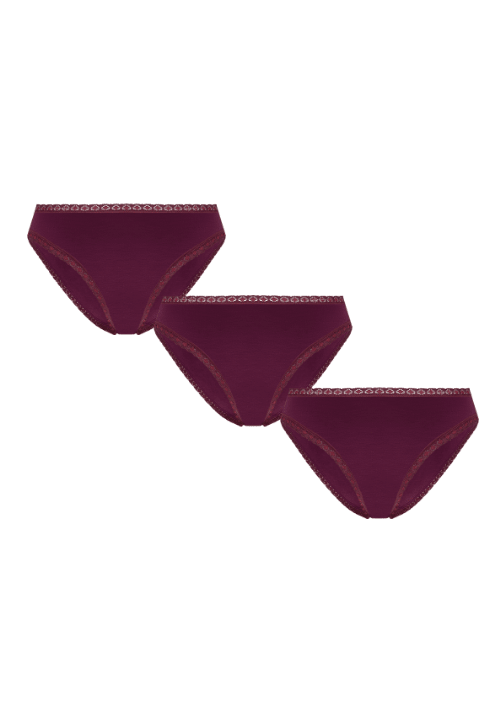 Bio-Baumwoll-Slip mit Spitze – 3er Pack - Evermind.eco