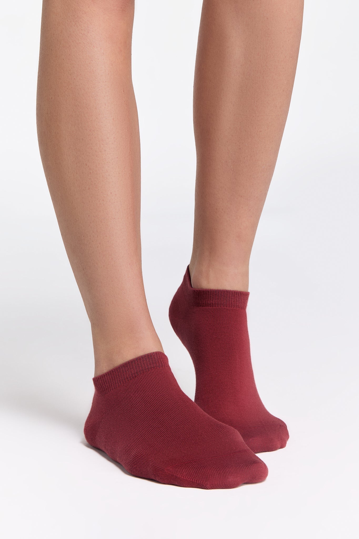 Bio-Baumwoll-Sneakersocken Unisex - 2er Pack - Evermind.eco
