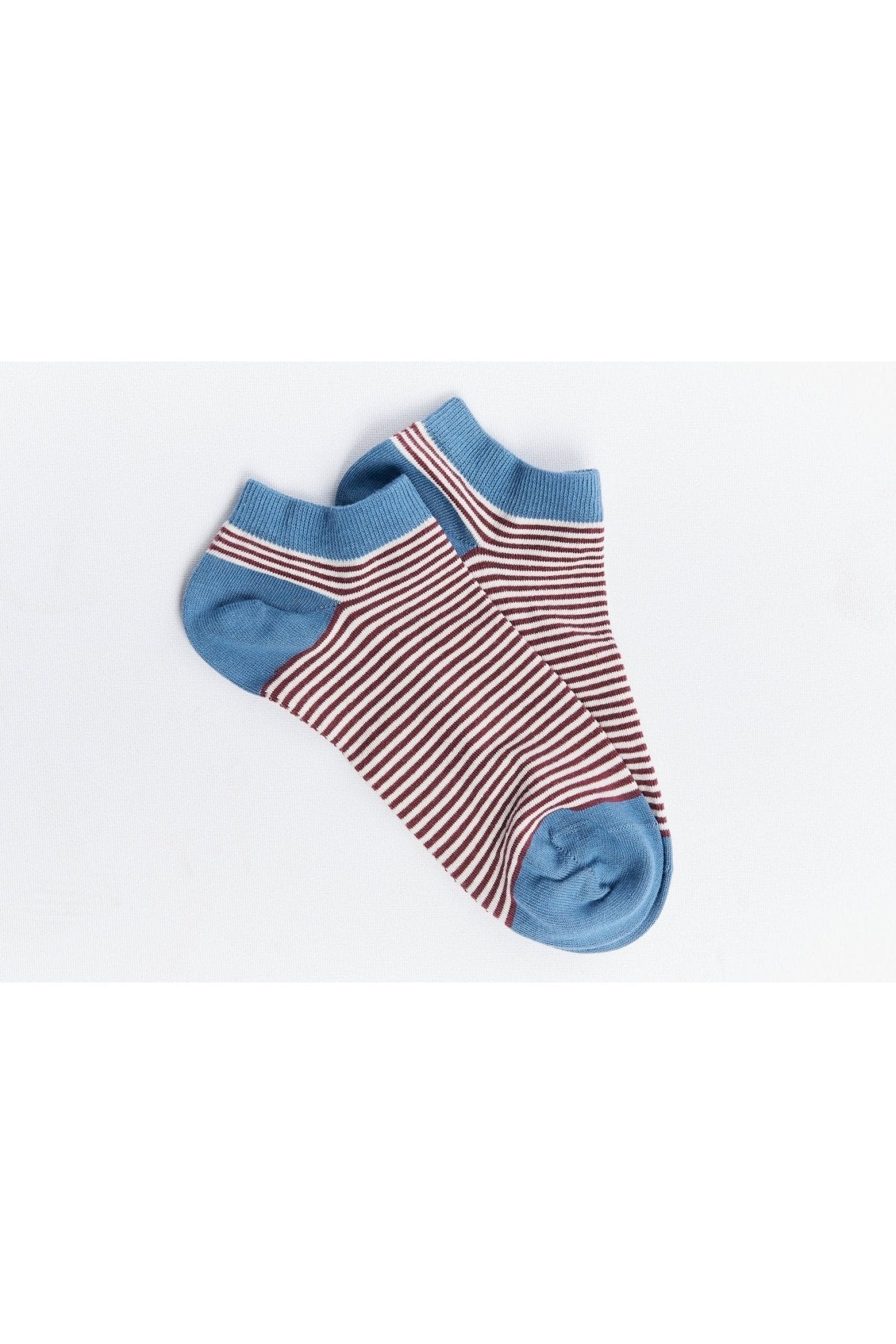 Bio-Baumwoll-Sneakersocken Unisex - 6er Pack - Evermind.eco