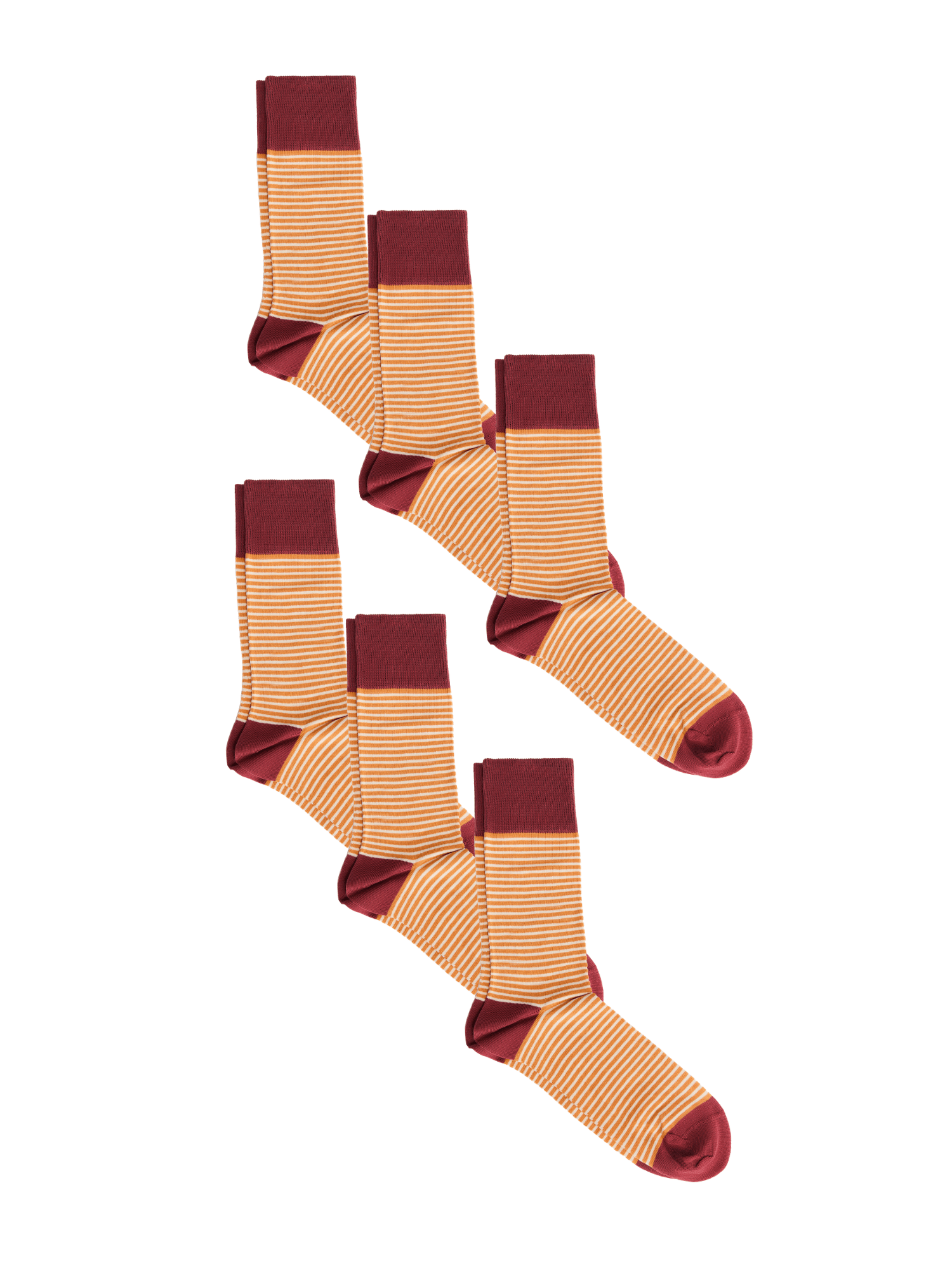 Bio-Baumwoll-Socken mit längerem Bündchen - 6er Pack - Evermind.eco