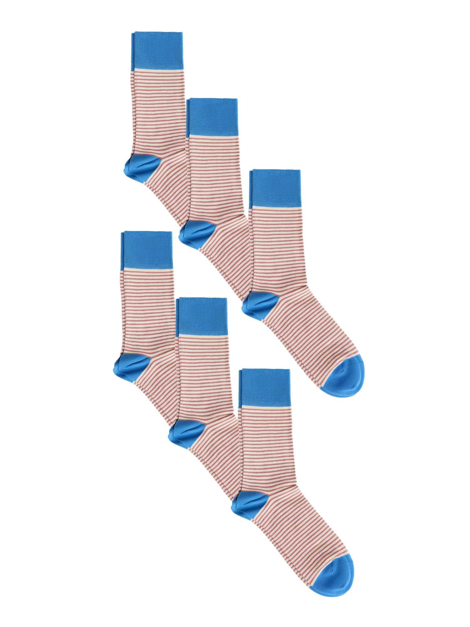 Bio-Baumwoll-Socken mit längerem Bündchen - 6er Pack - Evermind.eco