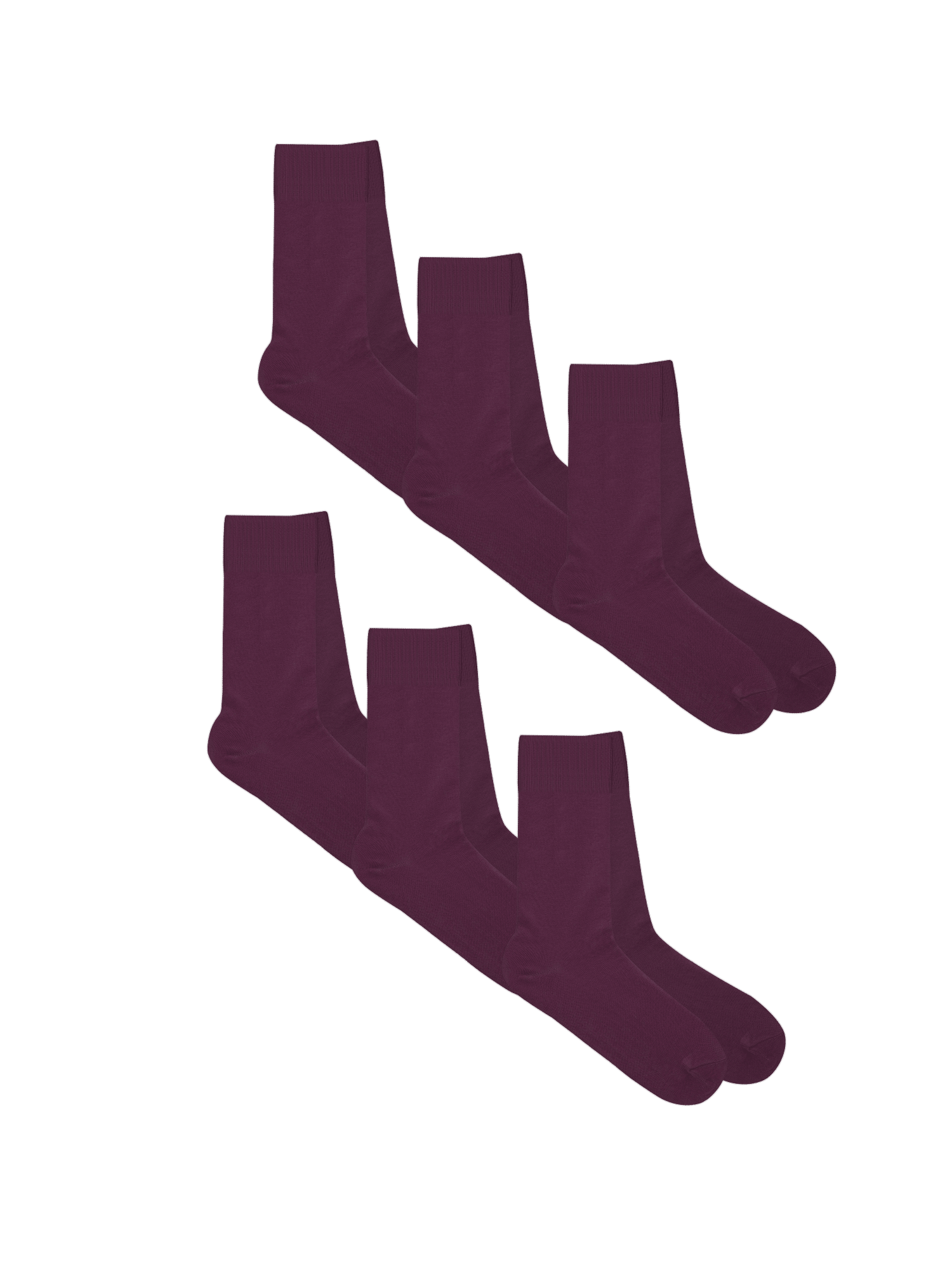 Bio-Baumwoll-Socken mit längerem Bündchen - 6er Pack - Evermind.eco