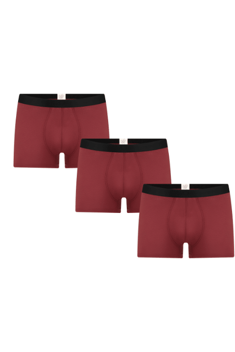 Herren Trunkshorts (3er-Pack) - Evermind.eco