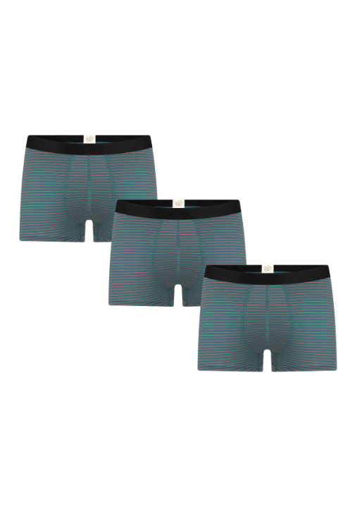 Herren Trunkshorts (3er-Pack) - Evermind.eco