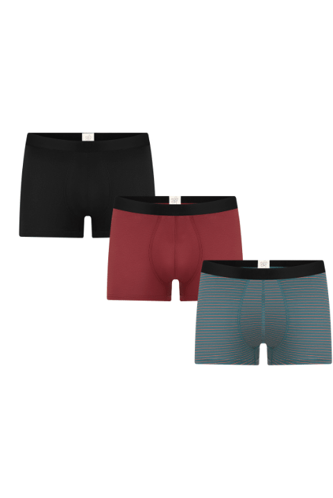 Herren Trunkshorts (3er-Pack) - Evermind.eco