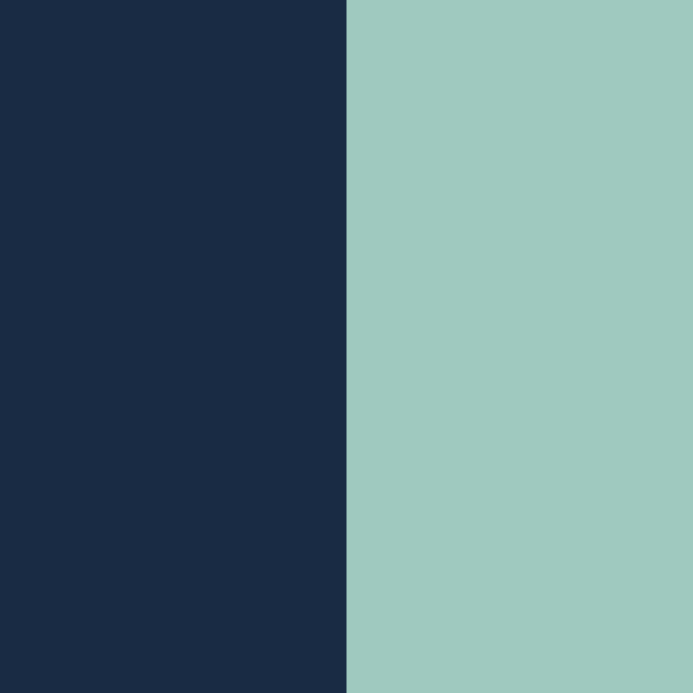 Swatch Indigo/Kiwi