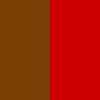 Swatch Kaffee/Rostrot
