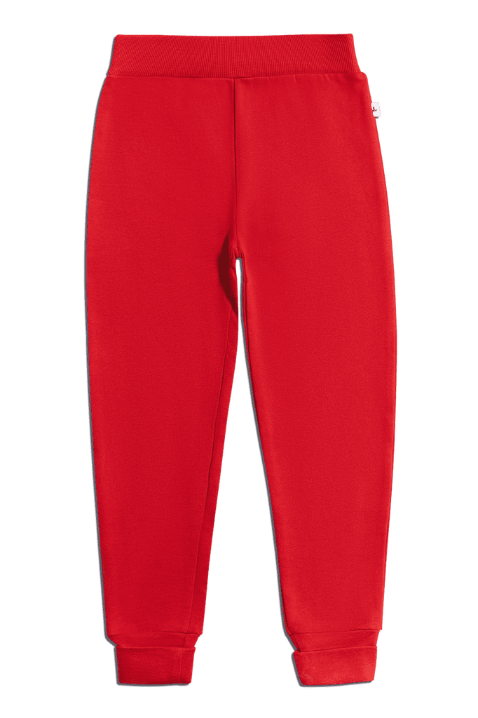 2026ZR | Kids Sweatpant - Brick-Red