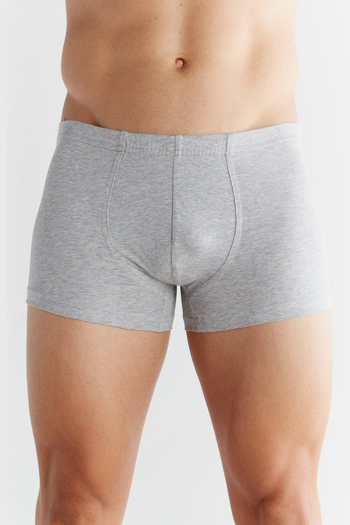 2141-03 | Men Retroshorts - Grey-Melange